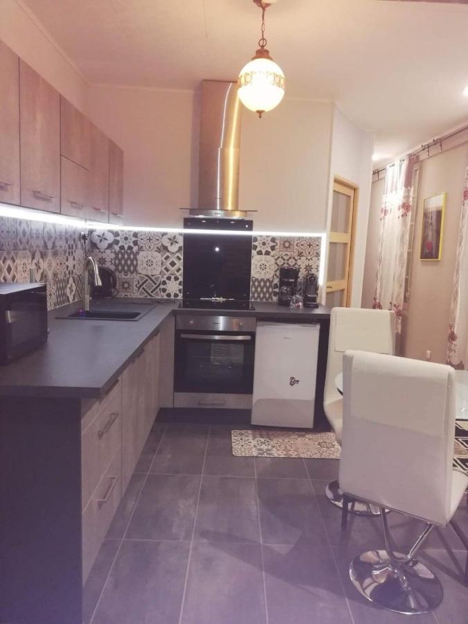 Rose Dor Apartment Plombieres-les-Dijon Bagian luar foto