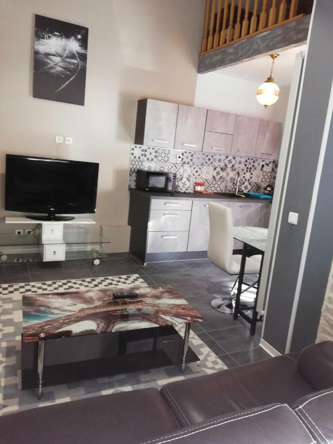 Rose Dor Apartment Plombieres-les-Dijon Bagian luar foto